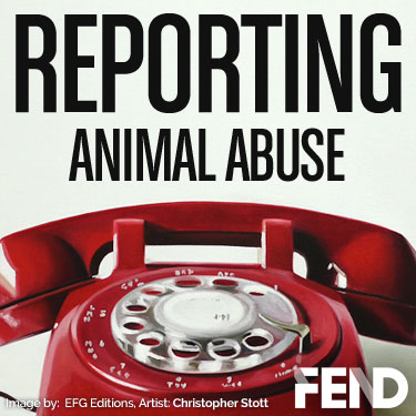 FEND - How to Report Animal Abuse.